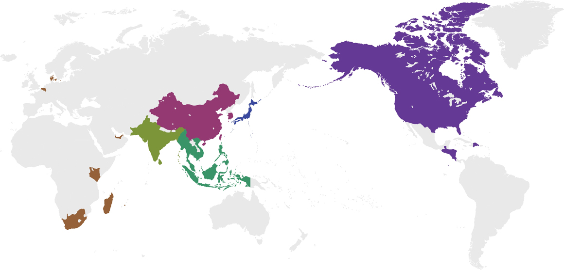 World Map